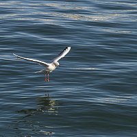 Přední strana obalu CD Cloud Nine Feast