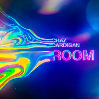 Chaz Cardigan – Room