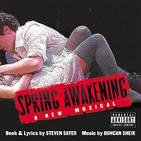 Přední strana obalu CD Spring Awakening [Original Broadway Cast Recording]
