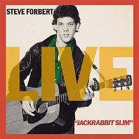 Steve Forbert – Jackrabbit Slim (Live)
