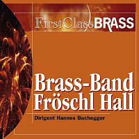 Brass Band Froschl Hall – First class Brass
