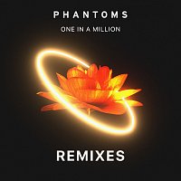One In A Million [Remixes]
