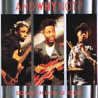 And Why Not? – Something You Got