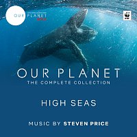 Steven Price – High Seas [Episode 6 / Soundtrack From The Netflix Original Series "Our Planet"]