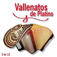 Vallenato – Vallenatos De Platino Vol. 5