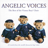 Přední strana obalu CD The Best of the Vienna Boys' Choir