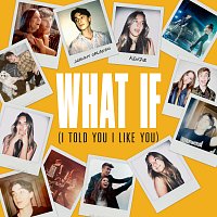 Johnny Orlando, kenzie – What If (I Told You I Like You)