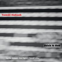 Tomáš Hobzek – Stick It Out CD
