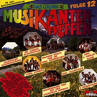 Přední strana obalu CD Das grosze Musikantentreffen - Folge 12