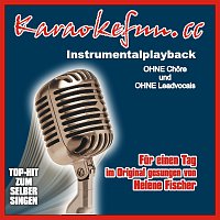 Přední strana obalu CD Fur einen Tag - Instrumental - Karaoke