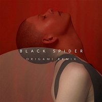 Kovacs – Black Spider (Origami Remix)