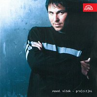 Pavel Vítek – Pro(cit)ni MP3