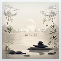 Přední strana obalu CD Calming Notes