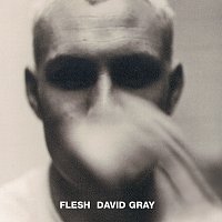 David Gray – Flesh