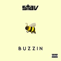 Stav – Buzzin