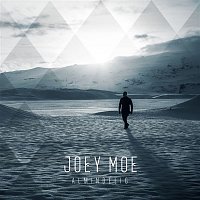 Joey Moe – Almindelig