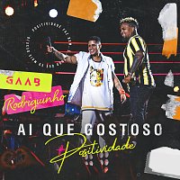 Gaab, Rodriguinho – Seu Amor (Ai Que Gostoso) [Ao Vivo Em Salvador / 2019]