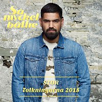 Stor – Sa mycket battre 2018 - Tolkningarna