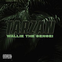 Wallie the Sensei – Tarzan