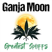 Přední strana obalu CD Greatest Spliffs