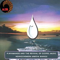 P.  Nyamande & The Revival of Gospel Music – Ndinochemera Mweya Wangu