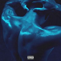 Přední strana obalu CD Gentleman