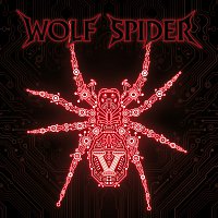 Wolf Spider – V
