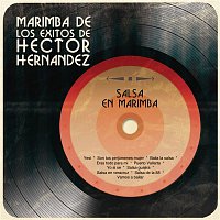 Marimba de los Éxitos de Héctor Hernández – Salsa en Marimba