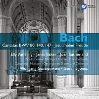 Geraint Jones, Wolfgang Gonnenwein, Consortium Musicum – Bach: Cantatas