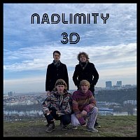 Nadlimity – 3D FLAC