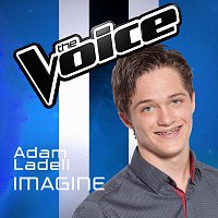 Adam Ladell – Imagine [The Voice Australia 2016 Performance]