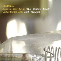 Schubert: Piano Trio No. 1 in B-Flat Major, D. 898; Introduction and Variations, D. 802 [Live]