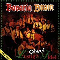 Bavaria Buam – Oiwei lustig und fidei