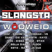 Přední strana obalu CD Slangsta Wodweid