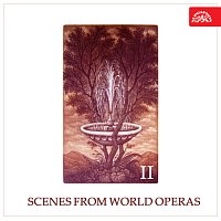 Přední strana obalu CD Scény ze světových oper II.