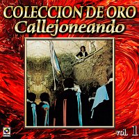 Přední strana obalu CD Colección De Oro: Callejoneando Con Las Estudiantinas, Vol. 1