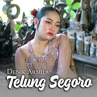 Přední strana obalu CD Telung Segoro