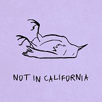 K.Flay – Not In California