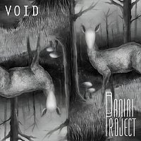 Panini Project – Void
