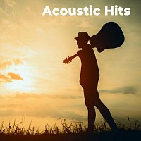 Přední strana obalu CD Acoustic Hits