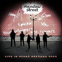 Meadow Street – Live in Stará Pekárna 2022