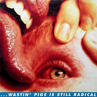 The Flaming Lips – Wastin' Pigs