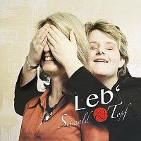 Seiwald & Topf – Leb'