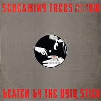 Screaming Trees – Beaten By The Ugly Stick