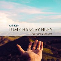 Anil Kant – Tum changay huey