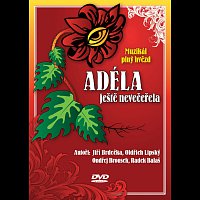 Různí interpreti – Muzikál: Adéla ještě nevečeřela DVD