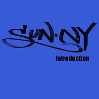 SunN.Y – Introduction [Radio Edit]