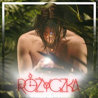 Vixen – Różyczka