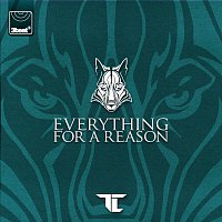 TC – Everything For A Reason