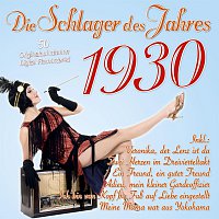 Přední strana obalu CD Die Schlager des Jahres 1930